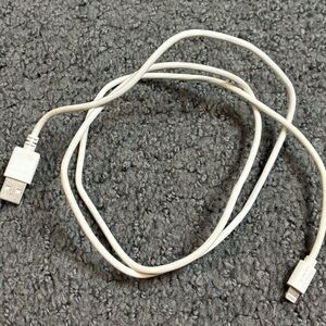 Wireless Gear USB C Charge Cable White